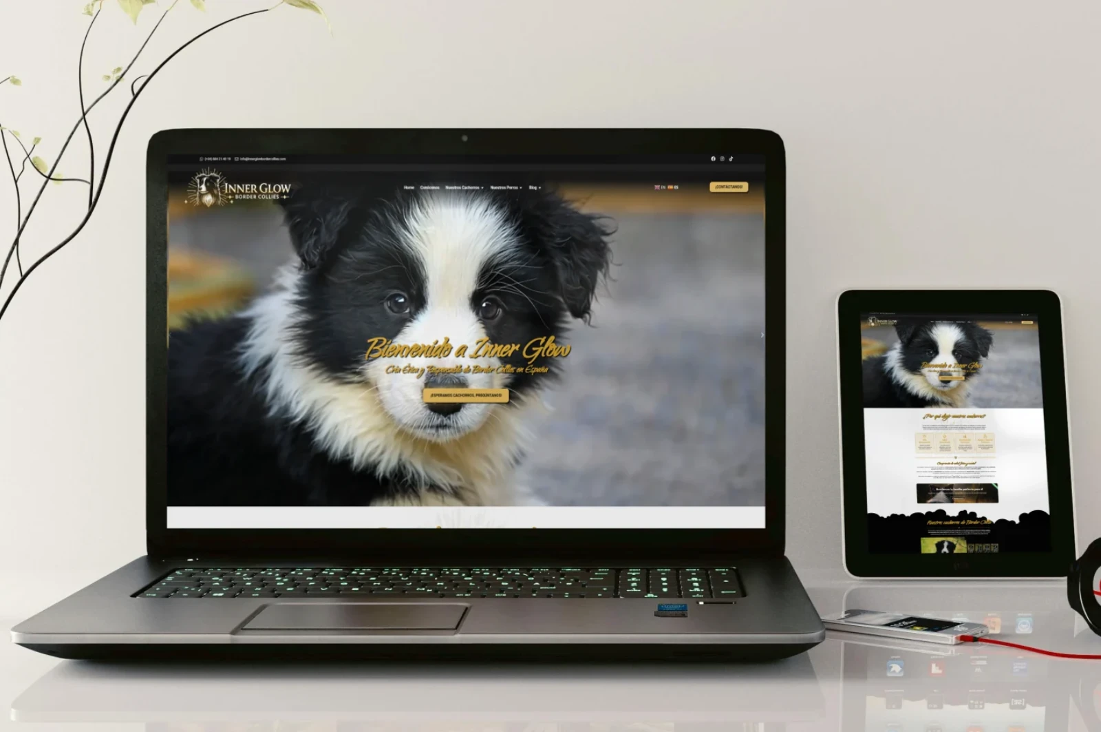 inner glow bc mockup